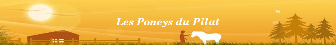 Les Poneys du Pilat